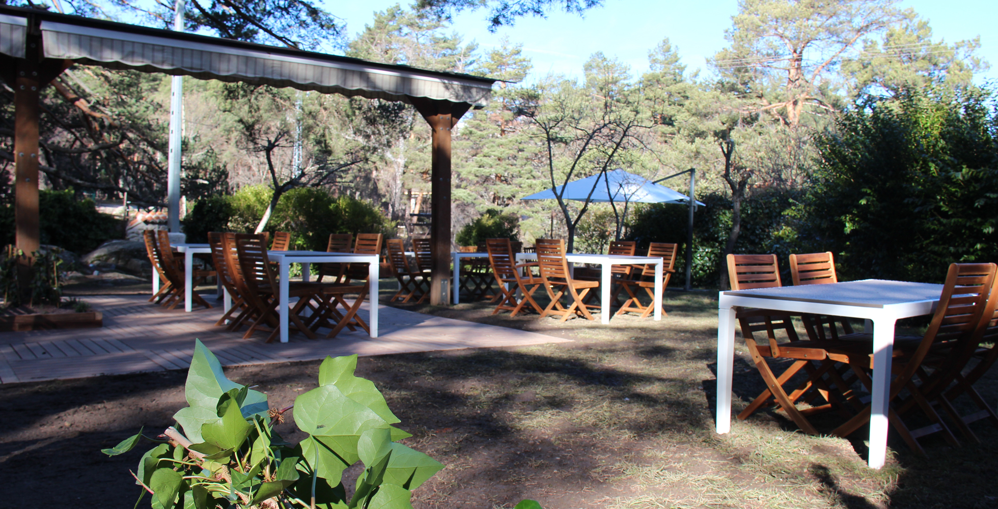 TERRAZA RESTAURANTE LA ISLA
